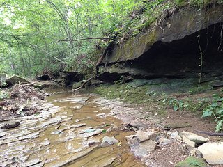 Property photo 15 - LAND AUCTION - 524+/- ACRES OFFERED IN 16 TRACTS IN MEIGS COUNTY, OHIO